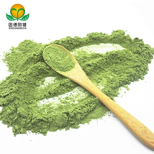 GMP Certified Factory Organic Barley Grass Powder