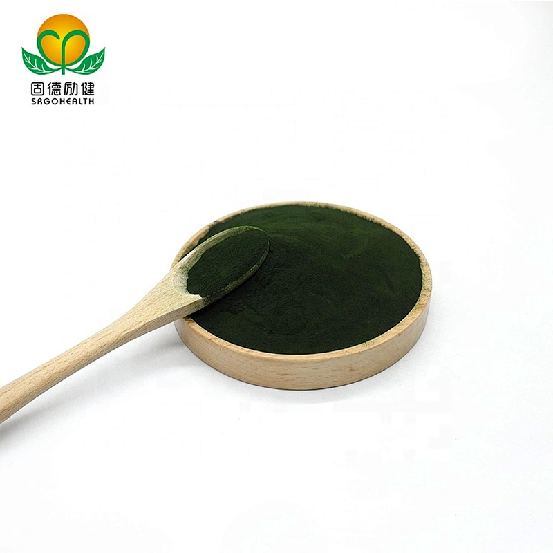 Competitive Price Superfood Conventional Spirulina Powder
