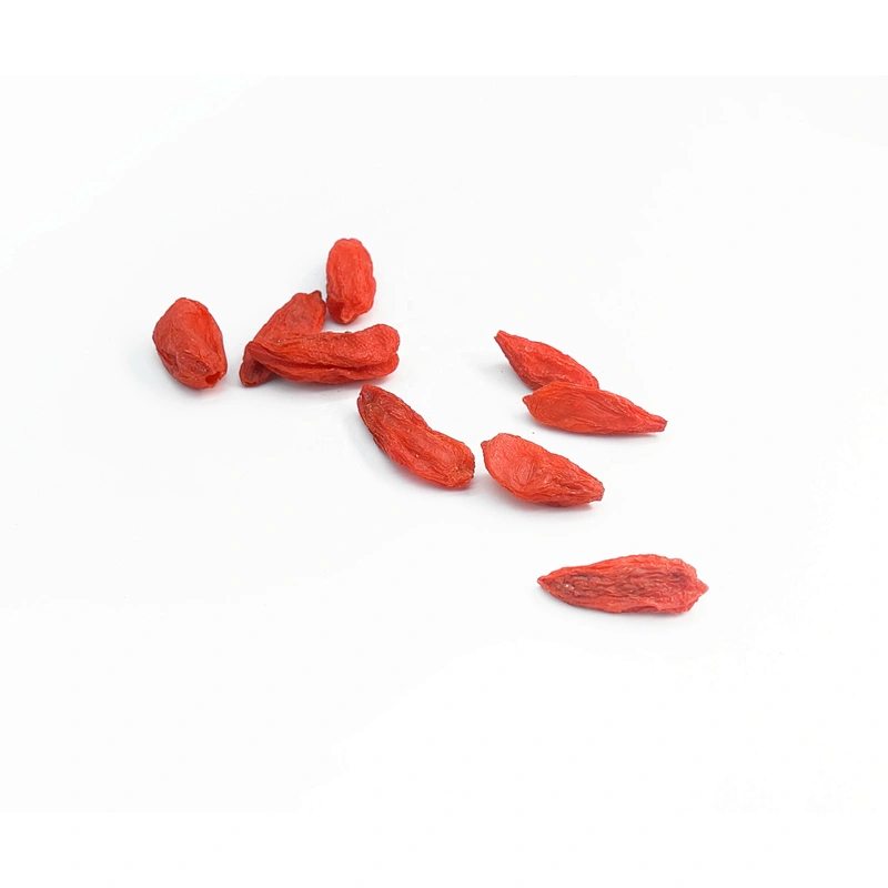 Manufacture Supply Organic Goji Berry