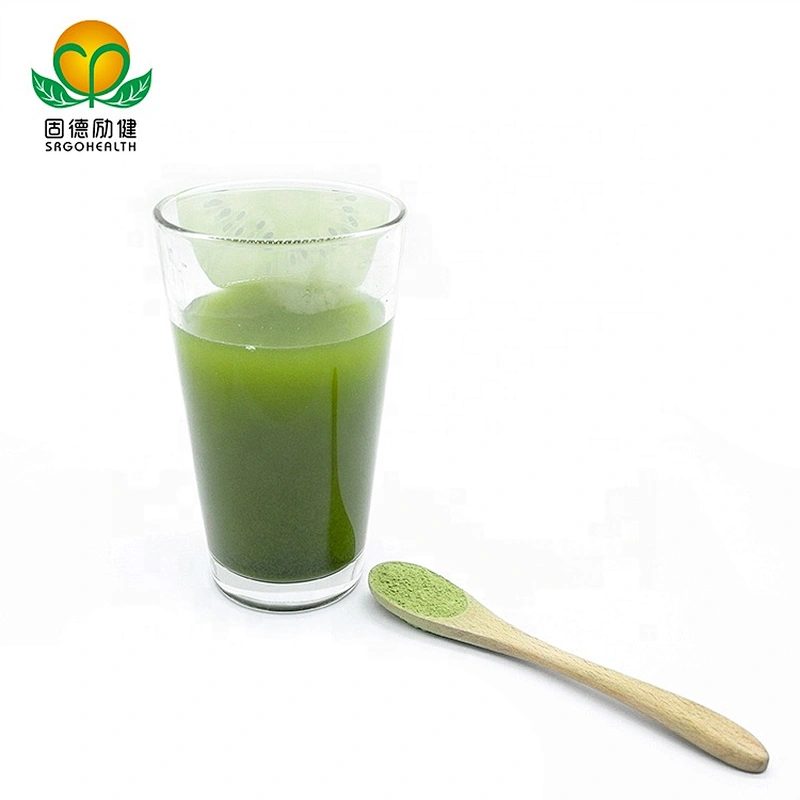Vegan GMP Factory Supply Organic Spinach powder