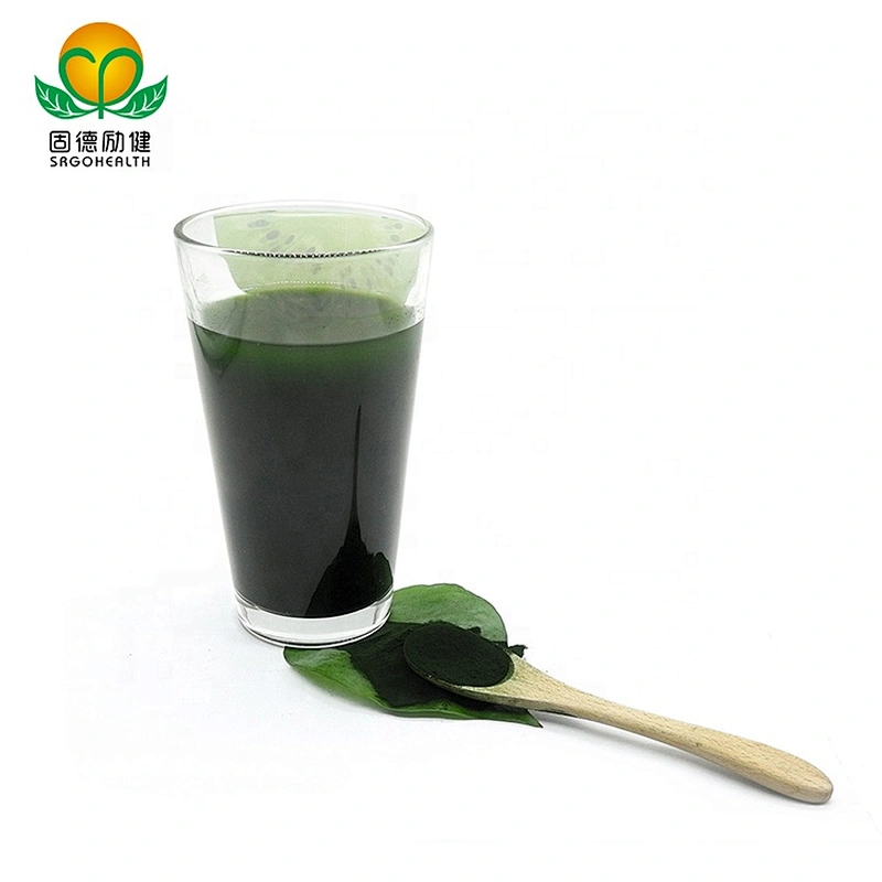 Best Selling Chlorella Powder