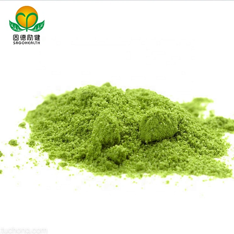 Vegan GMP Factory Supply Kale Powder