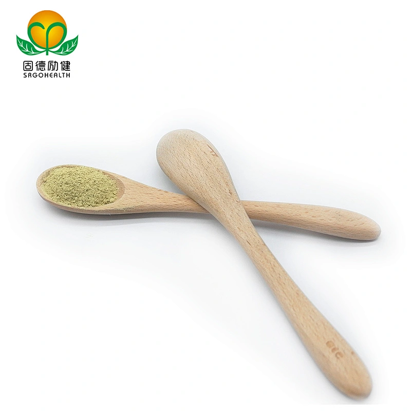 Factory Direct Supply Pure Sophora Japonica Extract Powder Rutin CAS NO 153-18-4