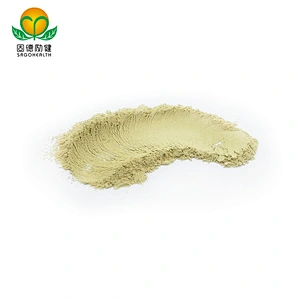High Quality GMP Supplier Vitamin P Rutin