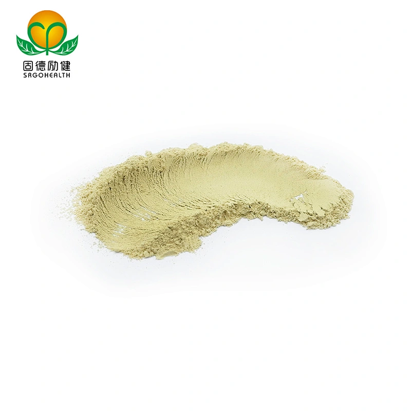 High Quality GMP Supplier Vitamin P Rutin