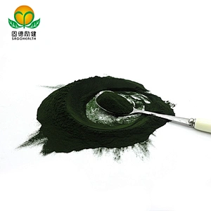 Non-organic Chlorella vulgaris Powder in Bulk EU stock Available