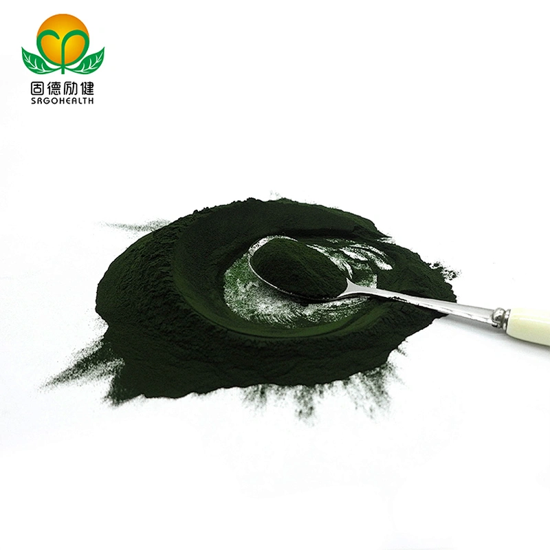 Non-organic Chlorella vulgaris Powder in Bulk EU stock Available