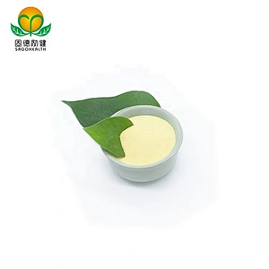 Vegan Supplement GMP Certified Rice Protein