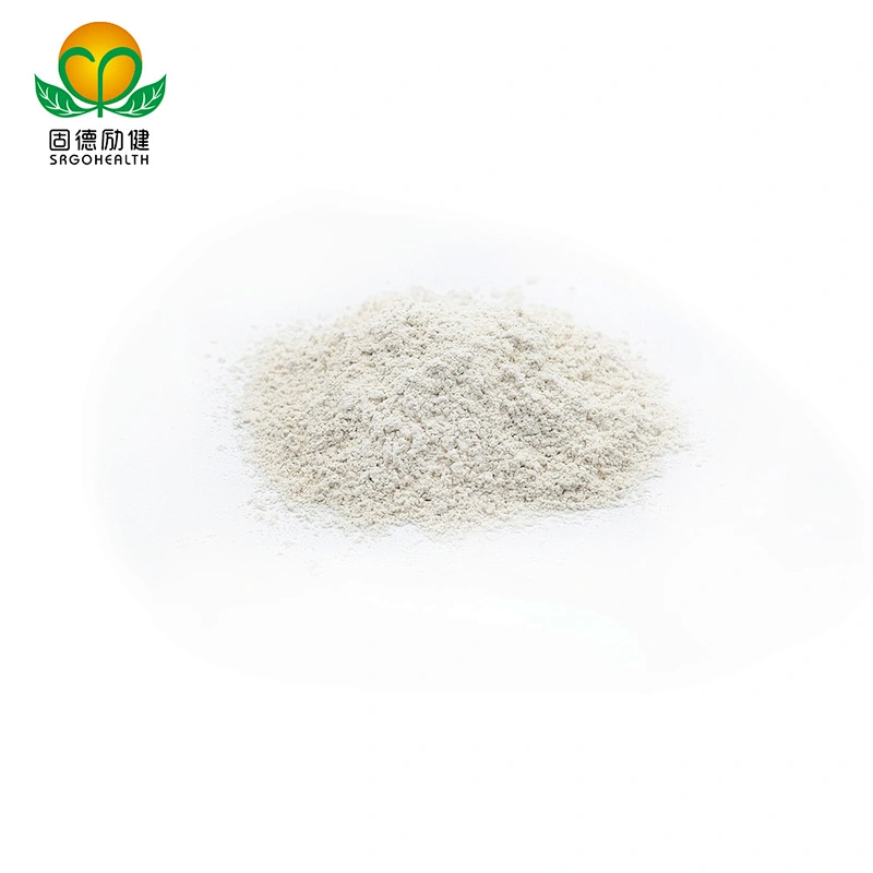 Hot Sales Brown Rice Protein Powder