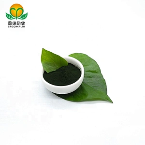 Competitive Price Superfood Conventional Spirulina Powder
