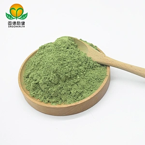 EU and NOP Certified GMP Factory Organic Wheat Grass Powder