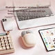 Q20 Computer Ergonomics Super High Color Value 2.4GHz Wireless Mouse for Female Office Notebook