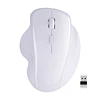 In Stock PCTENK XM227R Ergonomic 2.4GHz USB Interface Dual Mode Silent Wireless Optical Mouse Office Computer Universal Mouse