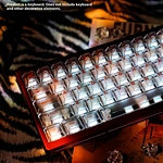 Veikav Nut65 Mechanical Keyboard USB Type RGB Backlit Gaming Desktop Wireless 65-Key Transparent PC Top Fog Adaptable for
