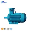 Vertical Mount Electric Motor for grinder