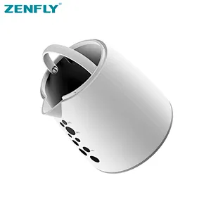 Household Disinfection Machine Fruit And Vegetable Disinfection Machine