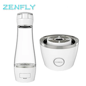 Hydrogen Rich Water Bottle Platinum Titanium Electrode Spe   Zenfly