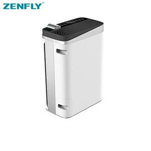 Ionic Air Purifier Machine Rohs CE home portable for Thailand market