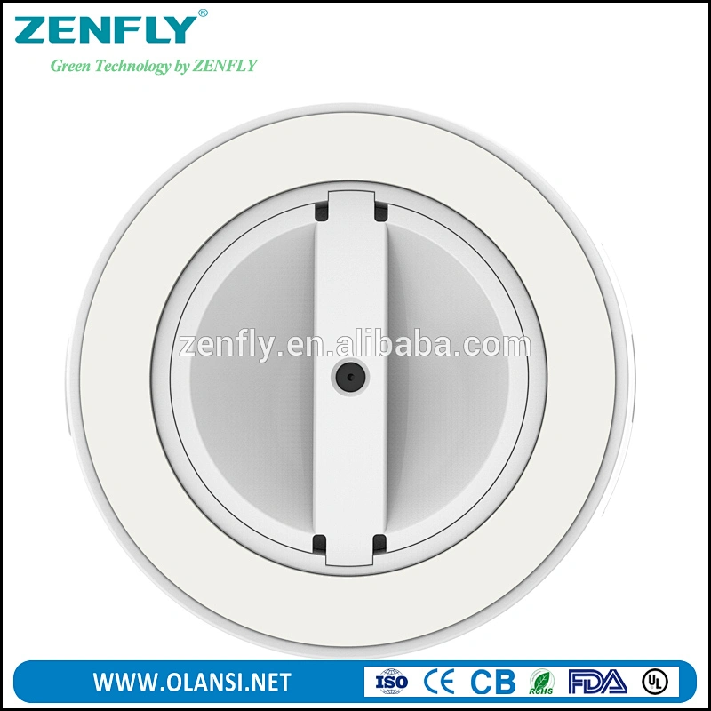 Zenfly portable water bottle of hydrogen maker, elegant hydrogen water maker wholesale direct drinking hydrogen water bottle