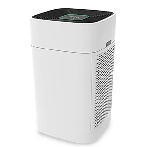 air cleaner for quick fuel carb air purifier allergy zenfly
