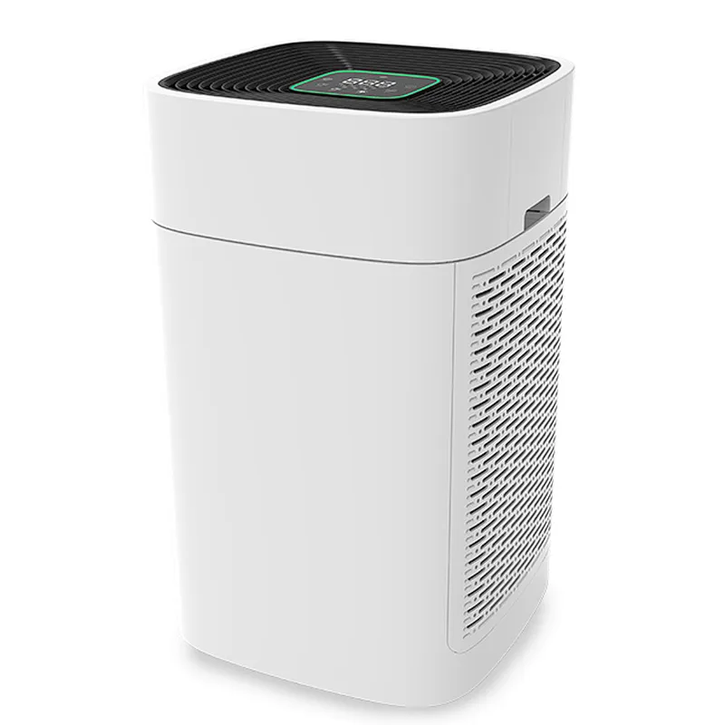 air cleaner for quick fuel carb air purifier allergy zenfly