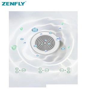 Portable fruit and vegetable disinfector Purified safety food