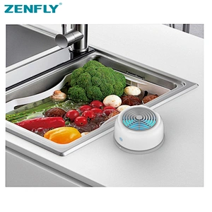 Portable fruit and vegetable disinfector Purified safety food