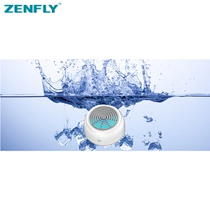 Portable fruit and vegetable disinfector Purified safety food