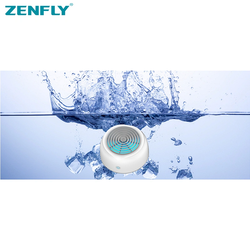 Portable fruit and vegetable disinfector Purified safety food