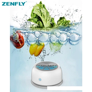 Portable fruit and vegetable disinfector Purified safety food