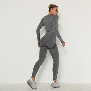 LilyFashion Seamless Yoga Suit Sweat Absorbing Hip-lifting High Waist Gym Pants Tight Long Sleeve Sports Suit for Women