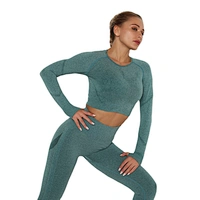 LilyFashion Hot style Seamless Yoga Long Sleeve High Elastic Wrinkle Quick Dry Long Sleeve Fitness Yoga Wear Tops