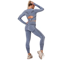 LilyFashion Hot style seamless knit sexy back mesh hole yoga suit sport fitness yoga pants