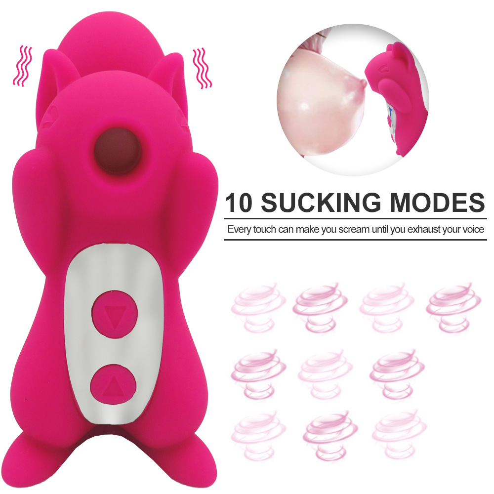 squirrel toy for adult