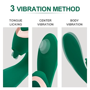 3 vibration modes Vibrator