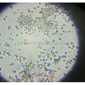 Digital binocular biological microscope novel microscope