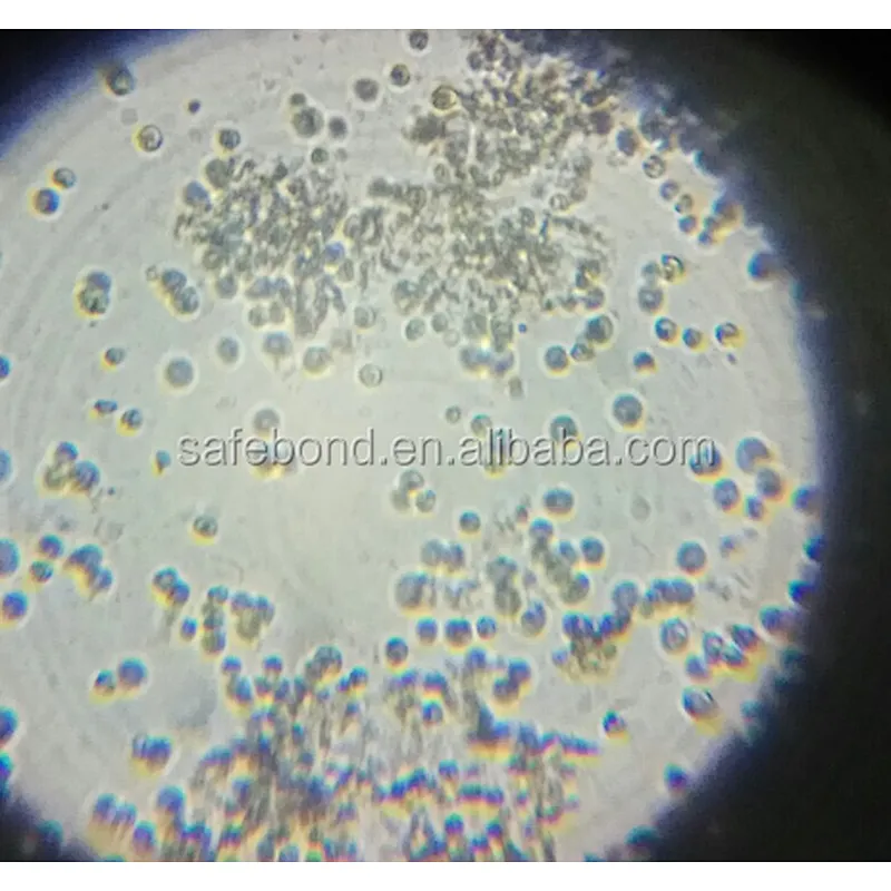Digital binocular biological microscope novel microscope