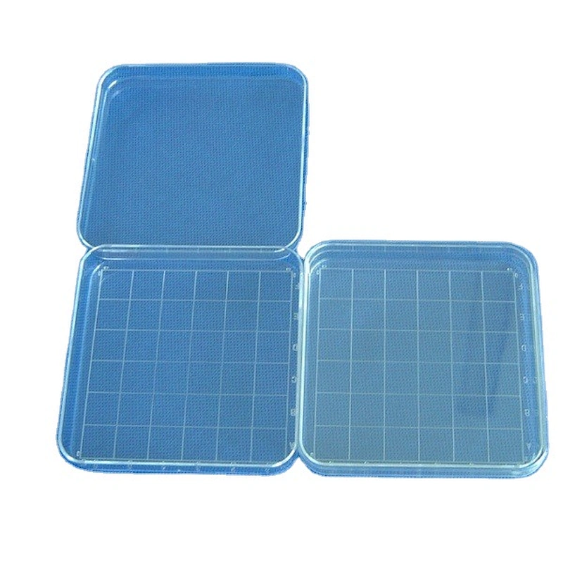 Disposable high quality different size petri dishes