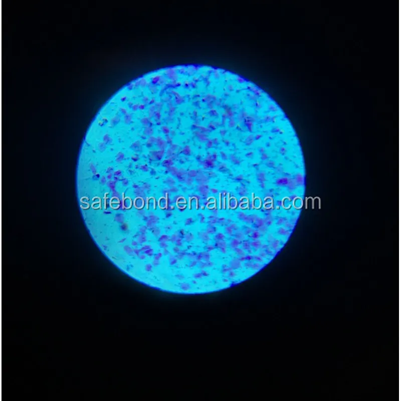 Digital binocular biological microscope novel microscope