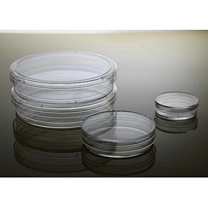 Disposable high quality different size petri dishes