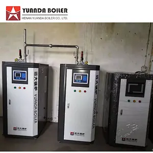 LDR vertical small electric steam generator