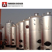 LSG Vertical 100kg 200kg 300kg 500kg 1000kg Coal wood log biomass fired Small steam boiler