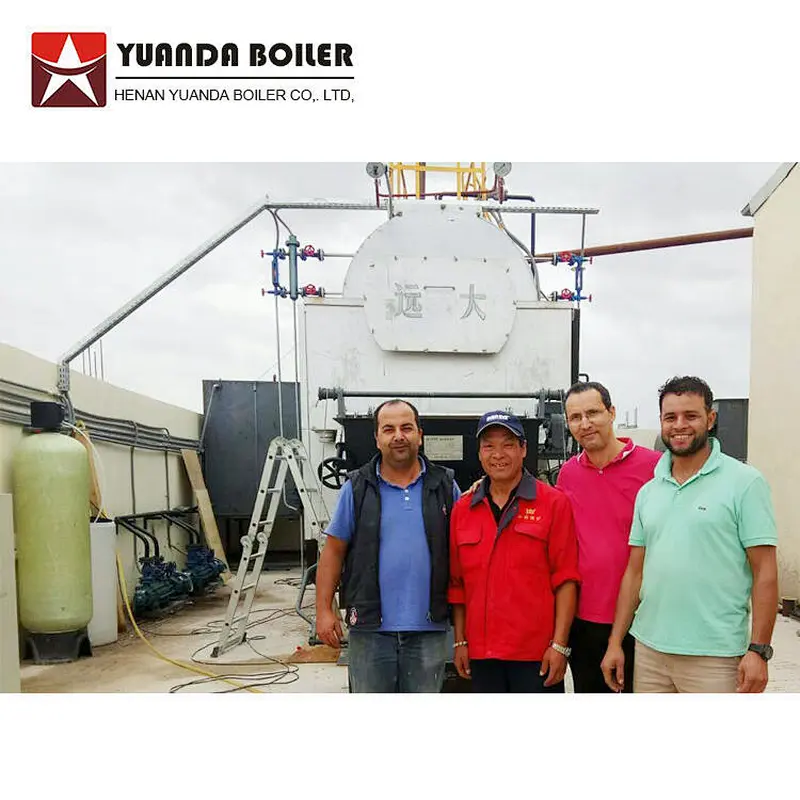 DZL automatic feed 1 to 8 ton coal biomass wood chips pellet palm shell fired steam boiler