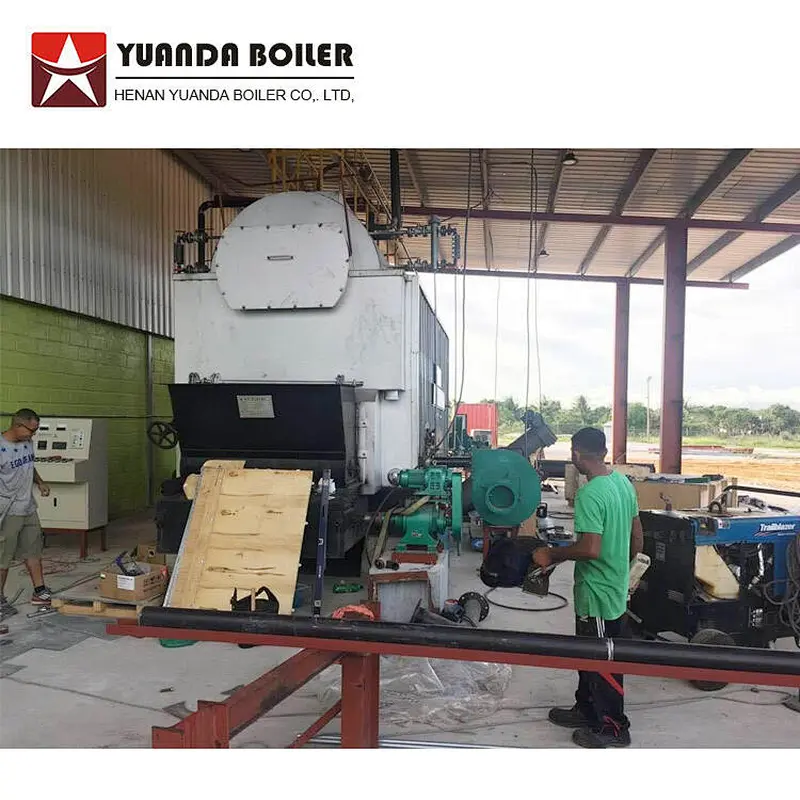 DZL automatic feed 1 to 8 ton coal biomass wood chips pellet palm shell fired steam boiler