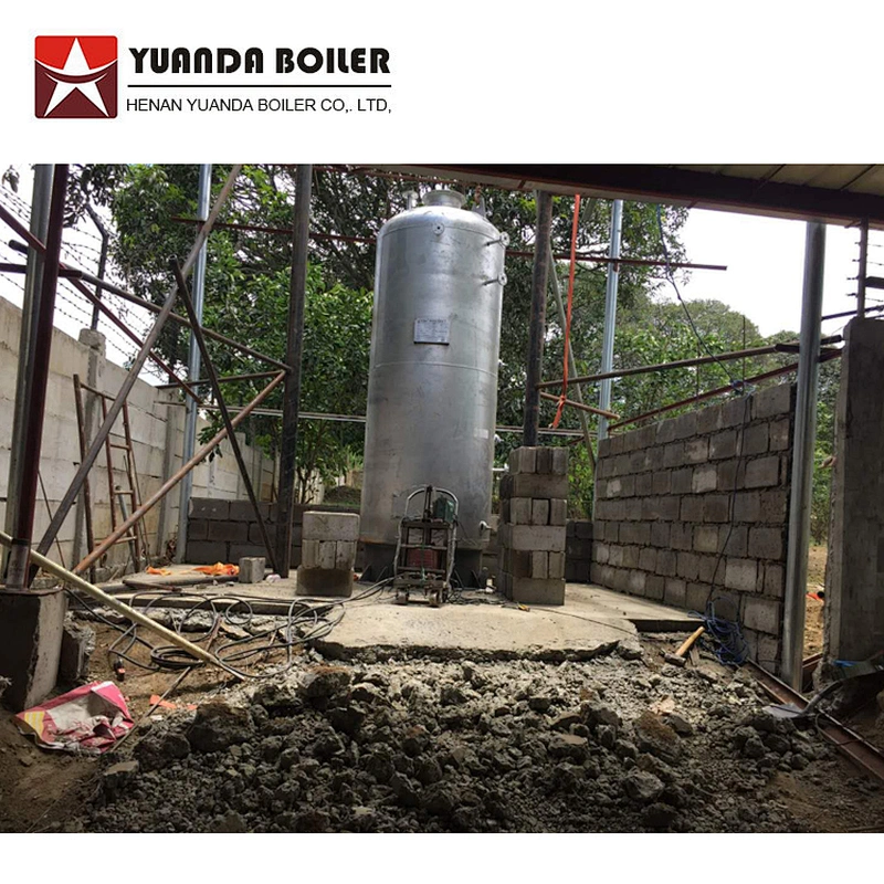 LSG Vertical 100kg 200kg 300kg 500kg 1000kg Coal wood log biomass fired Small steam boiler