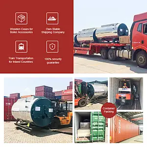 WNS industrial natural gas diesel oil lpg fuel fired central heating hot water boiler for hotel greenhouse school hospital