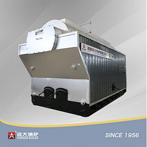 DZH Wood Biomass Boiler Manual Travelling Grate Biomass Boiler 1ton 2ton 4ton 6ton 8ton 10ton