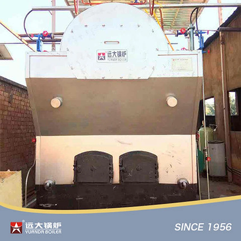DZH Wood Biomass Boiler Manual Travelling Grate Biomass Boiler 1ton 2ton 4ton 6ton 8ton 10ton