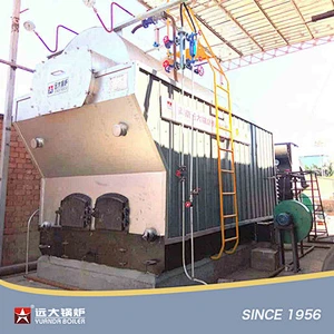 DZH Wood Biomass Boiler Manual Travelling Grate Biomass Boiler 1ton 2ton 4ton 6ton 8ton 10ton