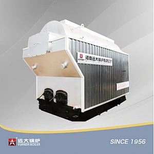 DZH Wood Biomass Boiler Manual Travelling Grate Biomass Boiler 1ton 2ton 4ton 6ton 8ton 10ton